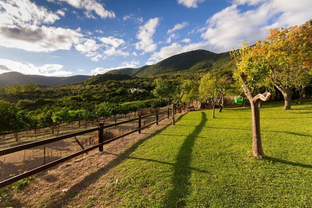 Finca El Huertezuelo El Bosque Esterno foto